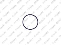 Кольцо уплотнительное TG-RS014/11667509080 Ti•GUAR